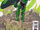 Convergence: Green Lantern/Parallax Vol 1 1