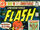 Flash Vol 1 289