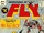 Adventures of the Fly Vol 1 1