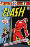 Flash Vol 1 240