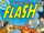 Flash Vol 1 273