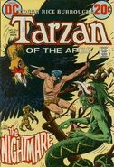 Tarzan #214 "The Nightmare!" (November, 1972)