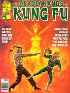 Deadly Hands of Kung Fu #24 ""The Angry Dragon Kills!"" (May, 1976)