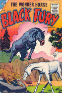 Black Fury #3 (September, 1955)