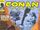 Conan the Cimmerian Vol 1 14