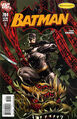 Batman #704 (January, 2011)