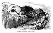 'The British Lion's Vengeance...', cartoon by  in the aftermath of the Indian Rebellion of 1857.