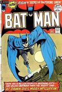 Batman Vol 1 241