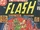 Flash Vol 1 256