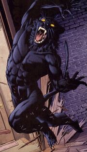Wildcat bronson