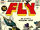 Adventures of the Fly Vol 1 2