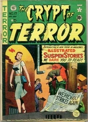 The Crypt of Terror #17