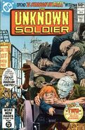 Unknown Soldier Vol 1 247