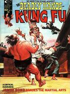 Deadly Hands of Kung Fu #12 "Blood of the Golden Dragon" (May, 1975)