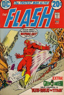 Flash Vol 1 221