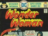 Wonder Woman Vol 1 219