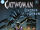 Catwoman: Guardian of Gotham Vol 1 2