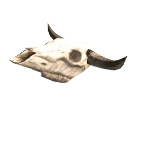 Череп