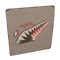 Sharks maw
