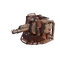Панацея