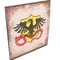 Lance knight shield