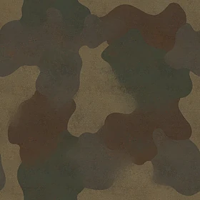Camouflage07