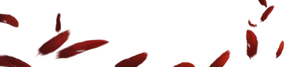 Sky Raiders 71 Logo