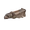 Царь птиц