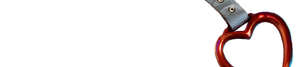 Wasteland Drift 21 Logo