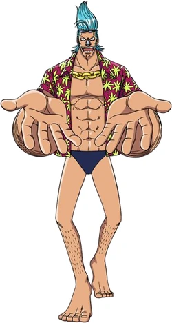 Franky | Crossover Reality Wiki | Fandom