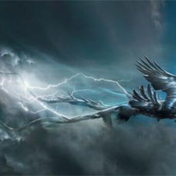 Thunderbird.jpg