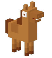Thoroughbred
