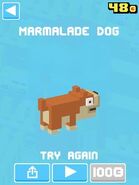Marmalade Dog