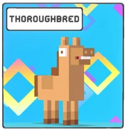 Throughbred icon