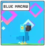 Blue Macaw icon