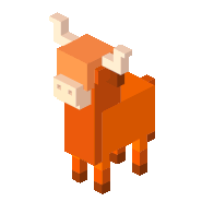 Highland cow
