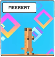 Meerkat icon