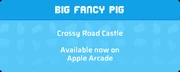 Big Fancy Pig note