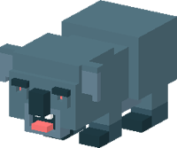 DropBear