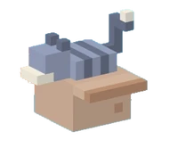 Cat lives in box