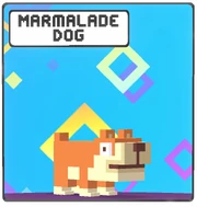 Marmalade Dog icon