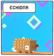 Echidna Icon