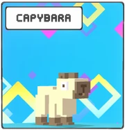 Capybara Icon