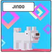 Jindo icon