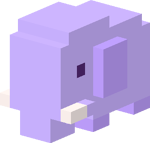 Disco Zoo