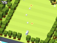 A clearing seen in the Korean theme while playing as the Jindo.