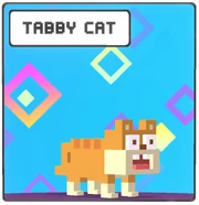 Tabby Cat icon