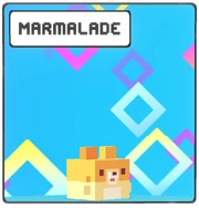 Marmalade Icon