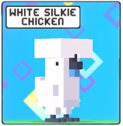 White Silkie Chicken icon