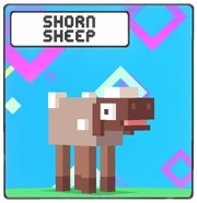 Shorn Sheep icon